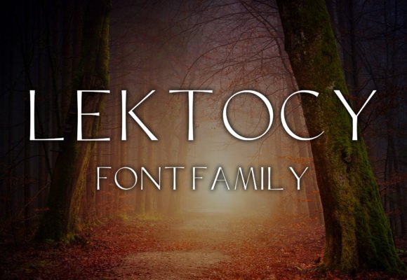 Lektocy: The Clean Sans Serif Font for Crafters