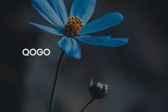 Qogo: A Modern Typeface for Bold Editorial Design