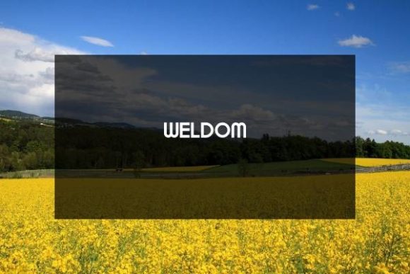 Weldom: A Modern Sans Serif Font for Bold Campaigns